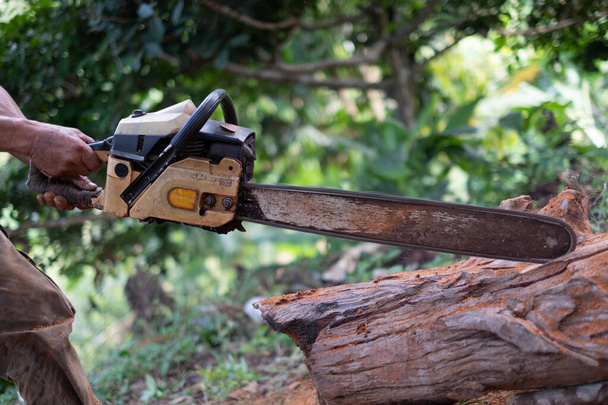 Un homme coupe-bois scie souche d'arbre avec la vieille tronçonneuse  - Photo, image