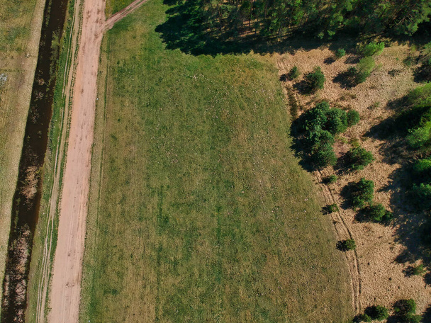 A high angle shot of grassland and trees - Photo, image