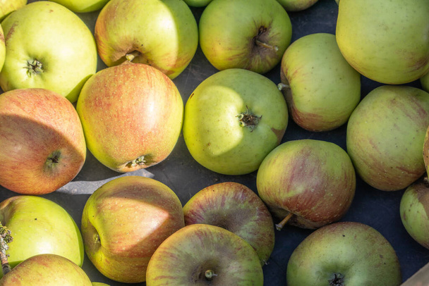 Um close-up de uma pilha de maçãs - Foto, Imagem