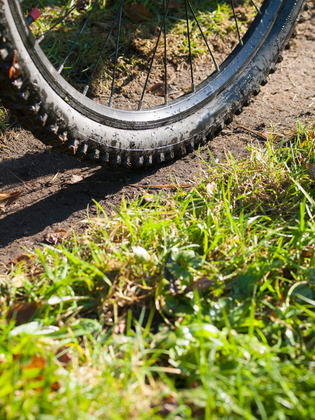 Mountain bike wheel detail - Foto, Bild