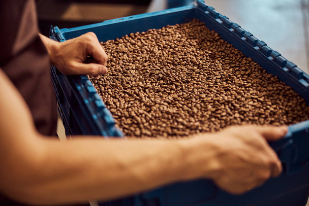 Male worker holding blue plastic crate with coffee beans - Photo, Image