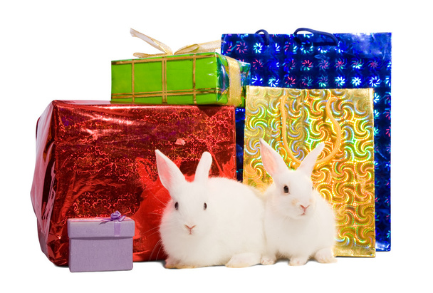 Two white rabbits with gifts - Foto, Imagem