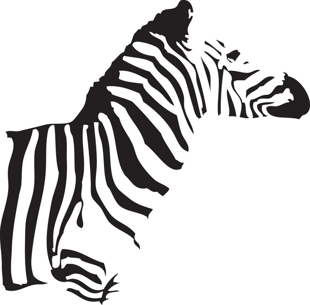 zebra silüeti - Vektör, Görsel