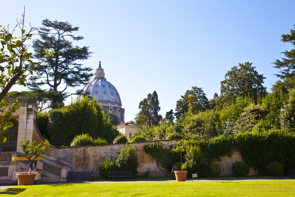 View at Saint Peter church from Vatican garden in Rome, Italy - Photo, Image