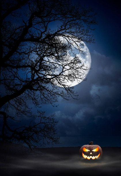 One spooky halloween pumpkin, Jack O Lantern, with evil face and eyes under the silhouette of a tree at night with a full moon and misty sky. - Foto, Imagen