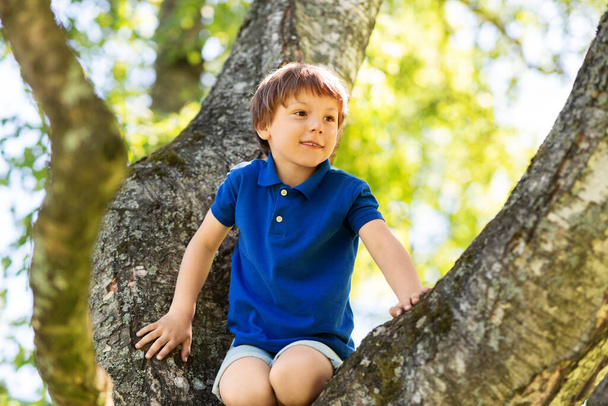 happy little boy climbing tree at park - Foto, Imagen