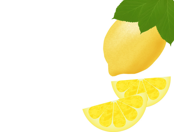 citrom - Vektor, kép