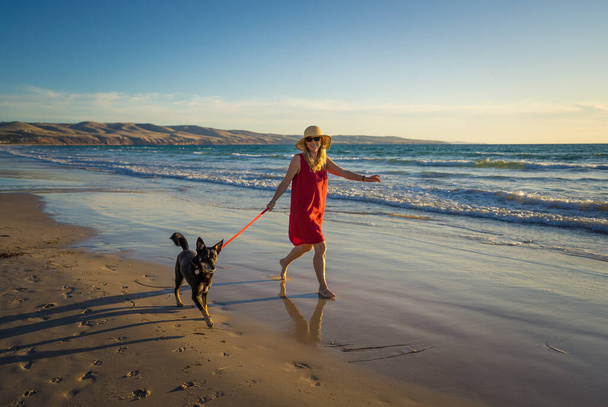 Beautiful mature woman and pet dog off leash walking along the sea shore on remote empty beach. Companionship Benefits of animals Keeping active Retirement lifestyle and Dog friendly tourism. - Zdjęcie, obraz