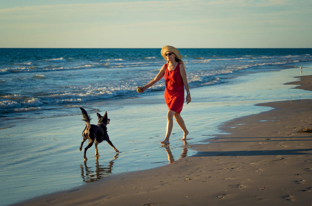 Beautiful mature woman and pet dog off leash walking along the sea shore on remote empty beach. Companionship Benefits of animals Keeping active Retirement lifestyle and Dog friendly tourism. - Photo, Image