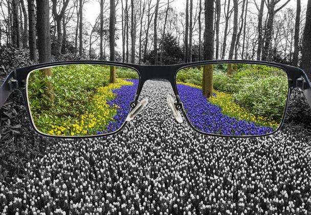 Kleurrijke blauwe en gele druivenhyacinten in het park rond bleekmiddel landschap. Optimistische wereldperceptie. Kleurblindheid genezen. - Foto, afbeelding