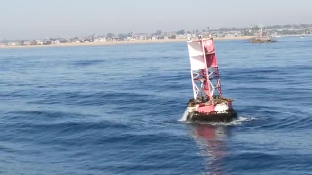 Seals on buoy in pacific ocean, whale watching tour in Newport beach, California USA. Colony of wild animals, sea lions herd on floating navigational beacon. Marine mammals rookery in natural habitat - Footage, Video