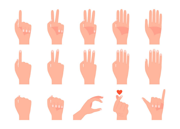 Gestos diferentes de manos humanas. Dedo señalando, toque, puño, victoria, shaka, amor y números. Vector sobre fondo blanco - Vector, imagen
