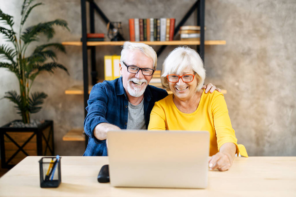 A happy senior couple is using the laptop indoor - Fotoğraf, Görsel
