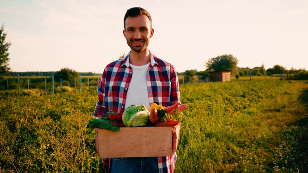 фермер в клетчатой рубашке держит коробку с овощами возле поля  - Кадры, видео