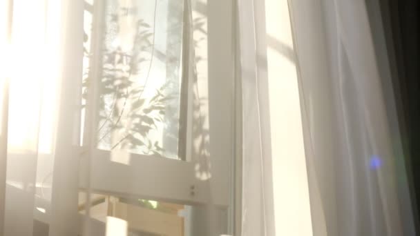 cortina transparente en la ventana, suavemente movido por el viento. la luz del sol. rayos del sol brillan a través del tul transparente - Metraje, vídeo
