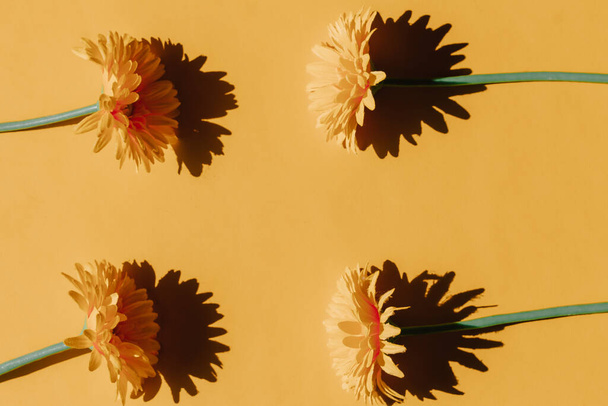 Valikoiva painopiste muovi auringonkukat oranssi tausta. Käsitys syksyn alkamisesta, eristyneisyydestä ja etäisyydestä. - Valokuva, kuva