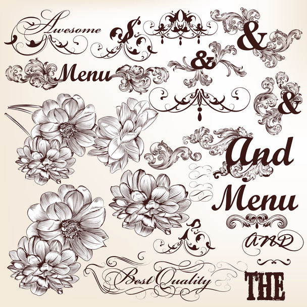 Collection of vector calligraphic and decorative elements in vin - Vektor, Bild