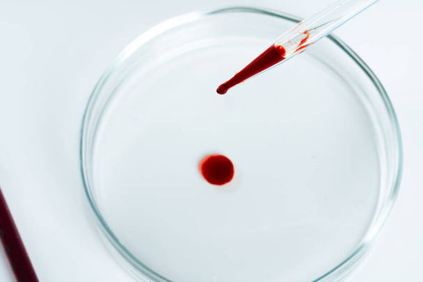 Glass dropper and Petri dish on laboratory table - 写真・画像