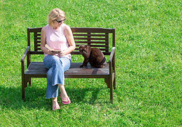 Bir kadın ve bir kedi yeşil bir çimenlikteki bankta oturuyorlar. Kadının elinde bir kitap var. - Fotoğraf, Görsel