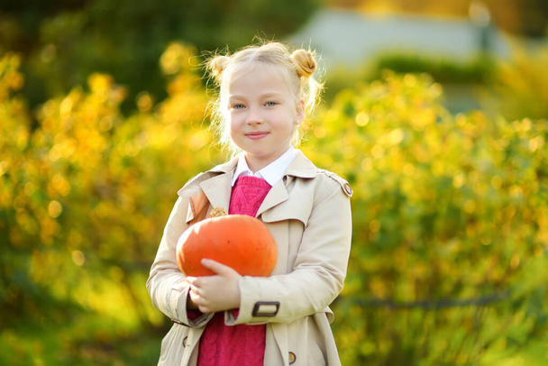 Cute young girl holding small pumpkin on a pumpkin patch. Kid picking pumpkins at country farm on warm autumn day. Family time at Thanksgiving and Halloween. - Φωτογραφία, εικόνα