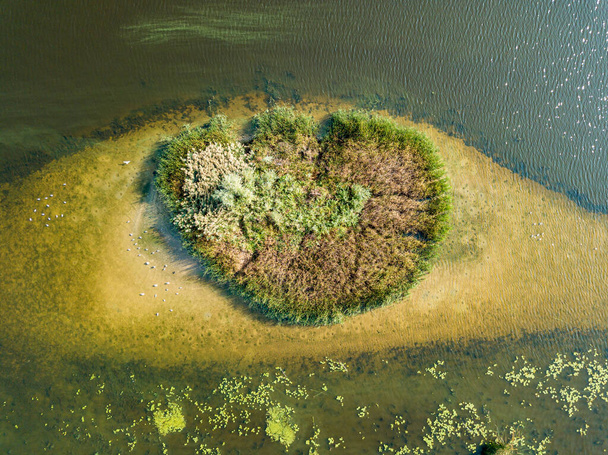 Hava aracı görüntüsü. Nehirdeki küçük yuvarlak ada. Adada çalılıklar var. Adanın yakınında dikdörtgen bir sığlık var.. - Fotoğraf, Görsel