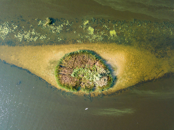 Vue aérienne sur drone. Petite île ronde sur la rivière. Il y a des buissons sur l'île. Il y a un oblong peu profond près de l'île. - Photo, image