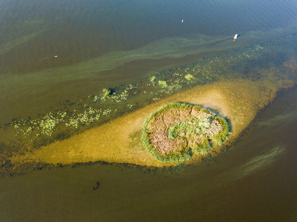 Légi felderítő. Kis kerek sziget a folyón. Vannak bokrok a szigeten. Van egy hosszúkás sekély a sziget közelében.. - Fotó, kép