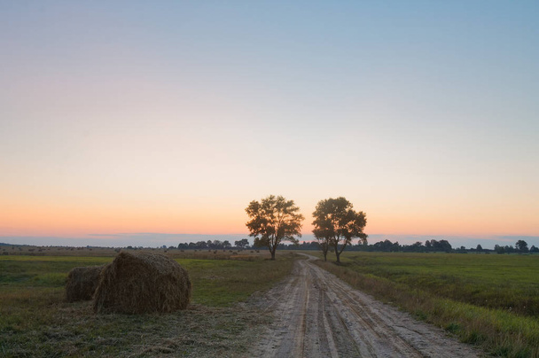 поле з зеленою травою на фоні заходу сонця. 2020 року
 - Фото, зображення