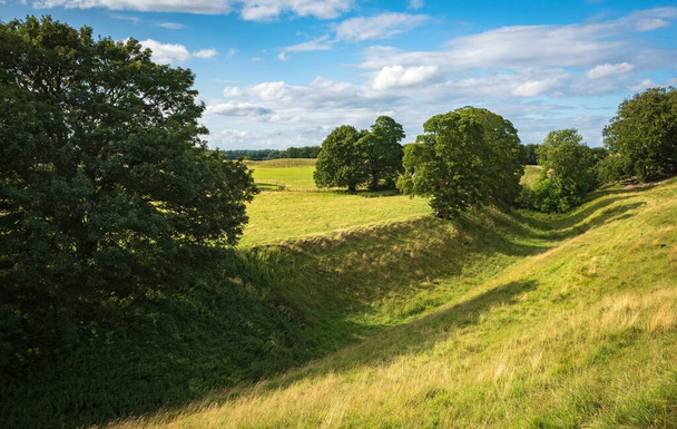 Корови, що пасуться біля доісторичного Постійного каменю в Ейвбері (графство Вілтшир, Англія), об'єднали королівство - Фото, зображення
