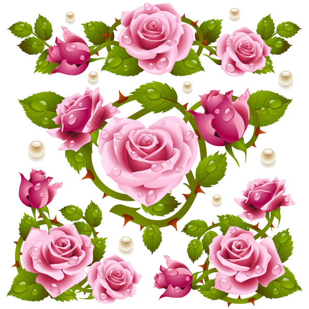 Rose design elements - Vektor, obrázek