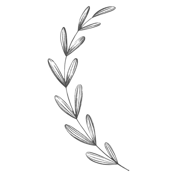 Cute kawaii leaf autumn twig. Textured pencil sketch digital art. Wrapping paper print, fabric, scrapbooking, web, wedding invitation, sticker. - Photo, image