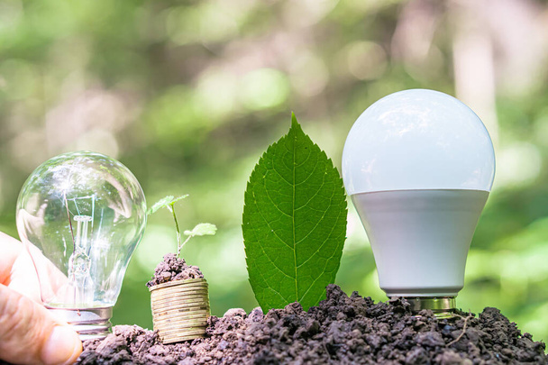 light bulb and stack of coins with a plant on the ground. Symbol of investment or income planning through savings - Photo, Image