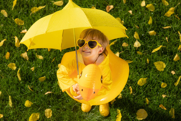Top view portrait of happy child with umbrella outdoor in autumn park. Smiling kid standing on green grass against yellow leaves blurred background - Photo, image