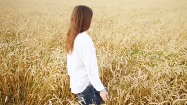 donna bruna in camicia bianca e jeans cammina su un campo di grano maturo al rallentatore - Filmati, video