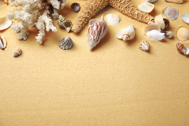 Different beautiful sea shells on sand. Space for text - Фото, зображення