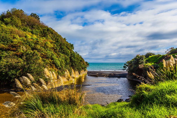 Fjord between wooded hills. Picturesque Pacific coast. North Island, New Zealand. The concept of ecological, active and phototourism - Fotografie, Obrázek