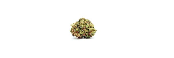 Marihuana en Cannabis studio stilleven met witte achtergrond. Wiet en wiet roken, lifestyle image set. - Foto, afbeelding
