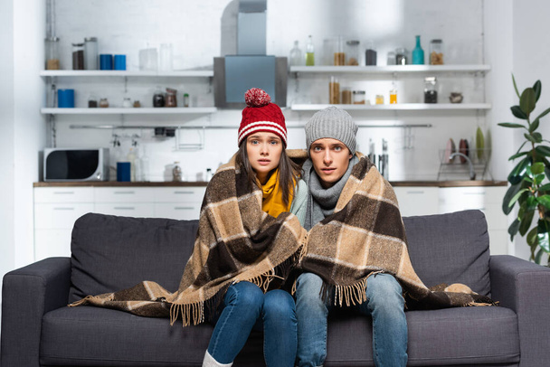 cold couple, wrapped in plaid blanket, wearing warm hats, looking at camera while sitting on couch in kitchen - Photo, Image