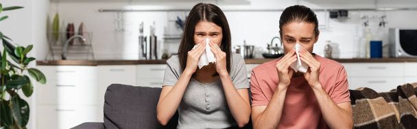 panoramic shot of diseased couple sneezing in paper napkins in kitchen - Фото, изображение