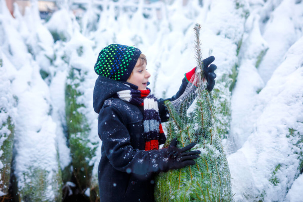 Vicces kis mosolygós kisfiú kezében karácsonyfa. Boldog gyermek téli divat ruhák kiválasztása és vásárol karácsonyfa szabadtéri boltban havas téli napon. Család, hagyomány, ünneplés. - Fotó, kép