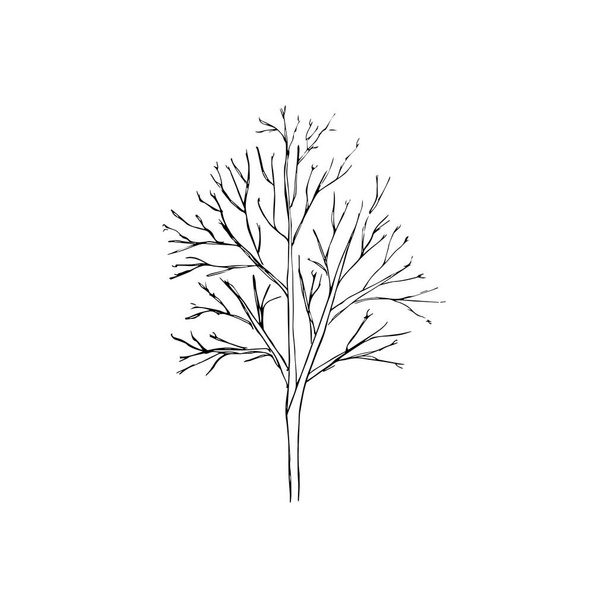 silhouette of a tree isolated on a white background. - Vektor, kép