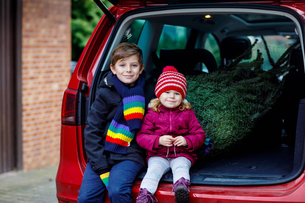Aile arabasında Noel ağacı olan sevimli küçük bir kız ve okul çocuğu. Mutlu sağlıklı çocuklar kışın moda kıyafetleriyle geleneksel Noel kutlaması için büyük bir Noel ağacı alıyorlar.. - Fotoğraf, Görsel