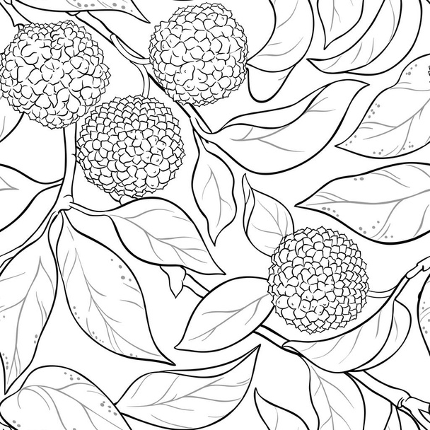 calodendrum vector pattern - Vector, Image