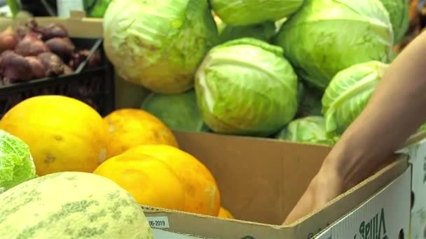 Elección de melón en la tienda - Metraje, vídeo