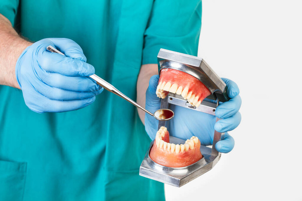 Dentiste montrant avec un miroir dentiste une prothèse en plastique - Photo, image
