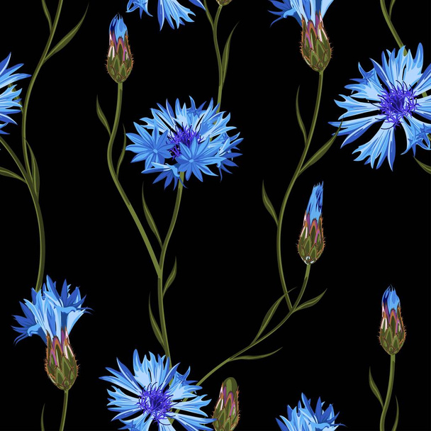 Cornflower floral seamless pattern on a black background.  - Vector, Image