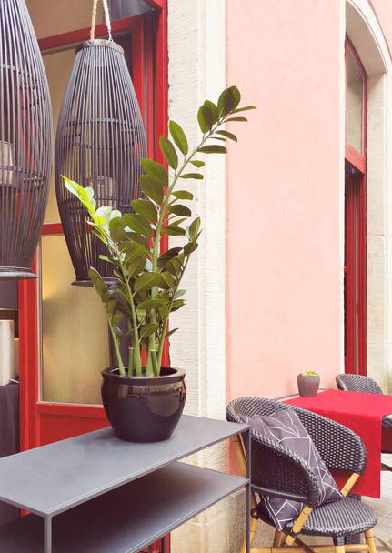 Zamioculcas Zamiifolia flor en el exterior de una cafetería moderna abierta en una calle en la ciudad vieja de Alemania en un día de verano. decoración de color rojo brillante con grandes linternas colgantes, mesa, sillas. Diseño urbano - Foto, Imagen