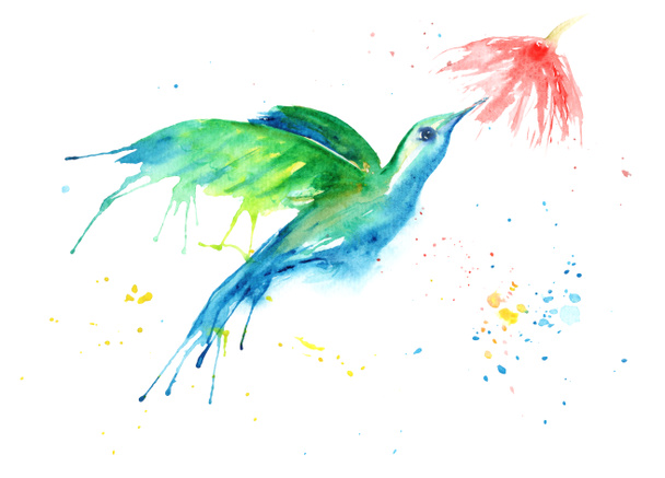Aquarellzeichnung eines Vogels - ein Kolibri - Foto, Bild