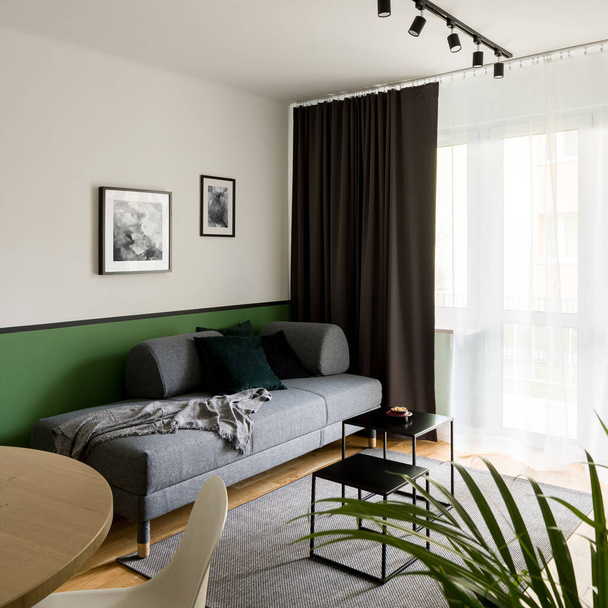 Pieni olohuone yksinkertainen ja moderni harmaa sohva ja isot ikkunat verhojen takana - Valokuva, kuva