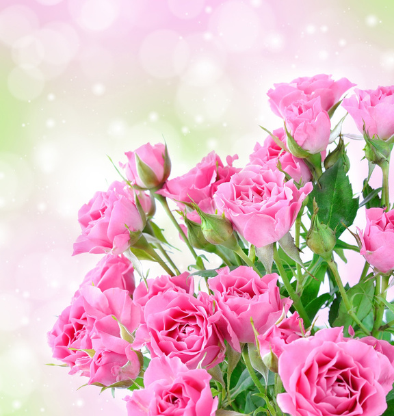 Romantic background with pink roses and bokeh lights - Photo, Image